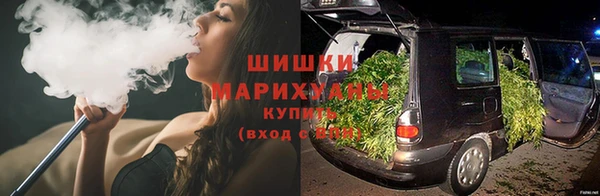 мяу мяу мука Елабуга