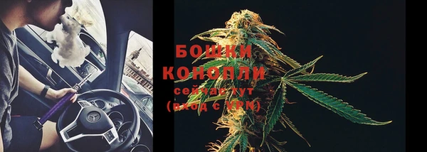 PSILOCYBIN Заволжск