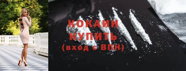 альфа пвп Заводоуковск