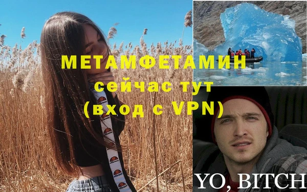 PSILOCYBIN Заволжск