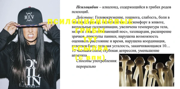 PSILOCYBIN Заволжск