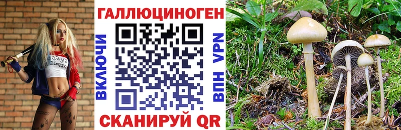 Галлюциногенные грибы GOLDEN TEACHER  Венёв 